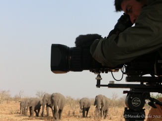 Cameraman at work, Chobe, Botswana