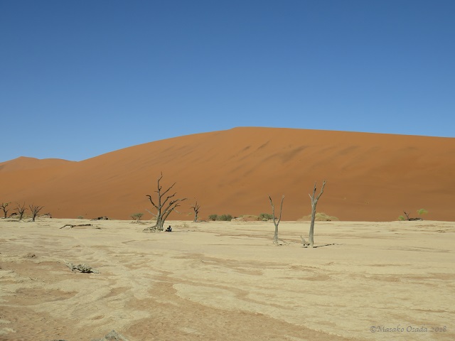 Deadvlei, Namibia, April 2018