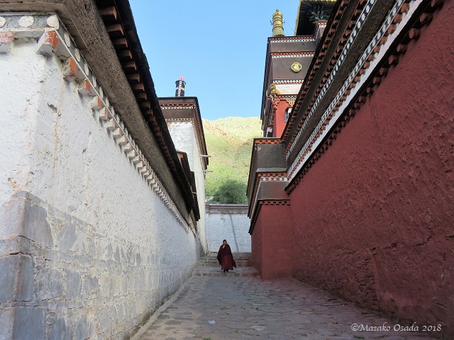Monk walking between red and white. Tashilumbu Monestery, Sigatse, Tibet, September 2018